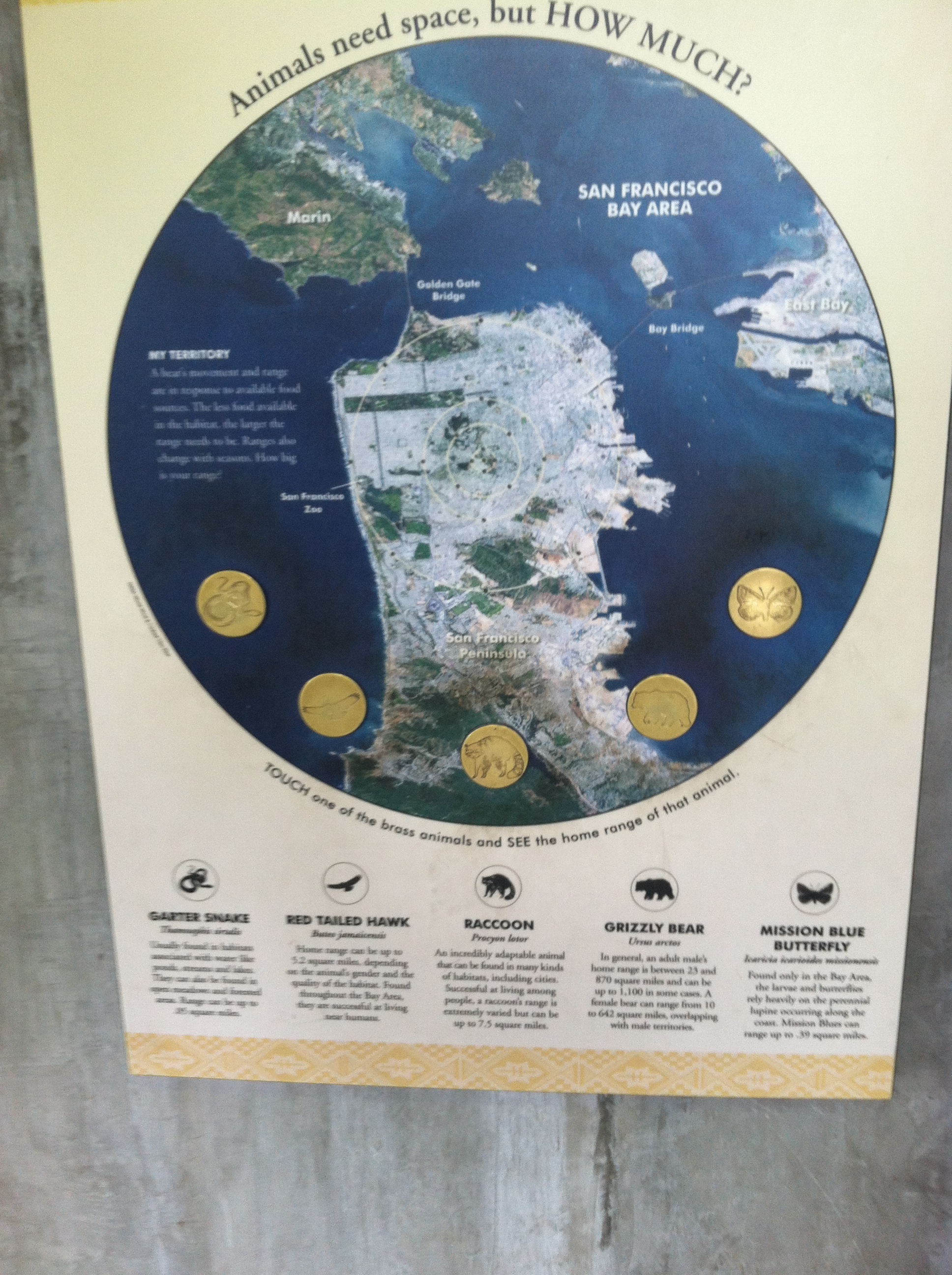 Refactor Camp 2013, SF Zoo territory map display
