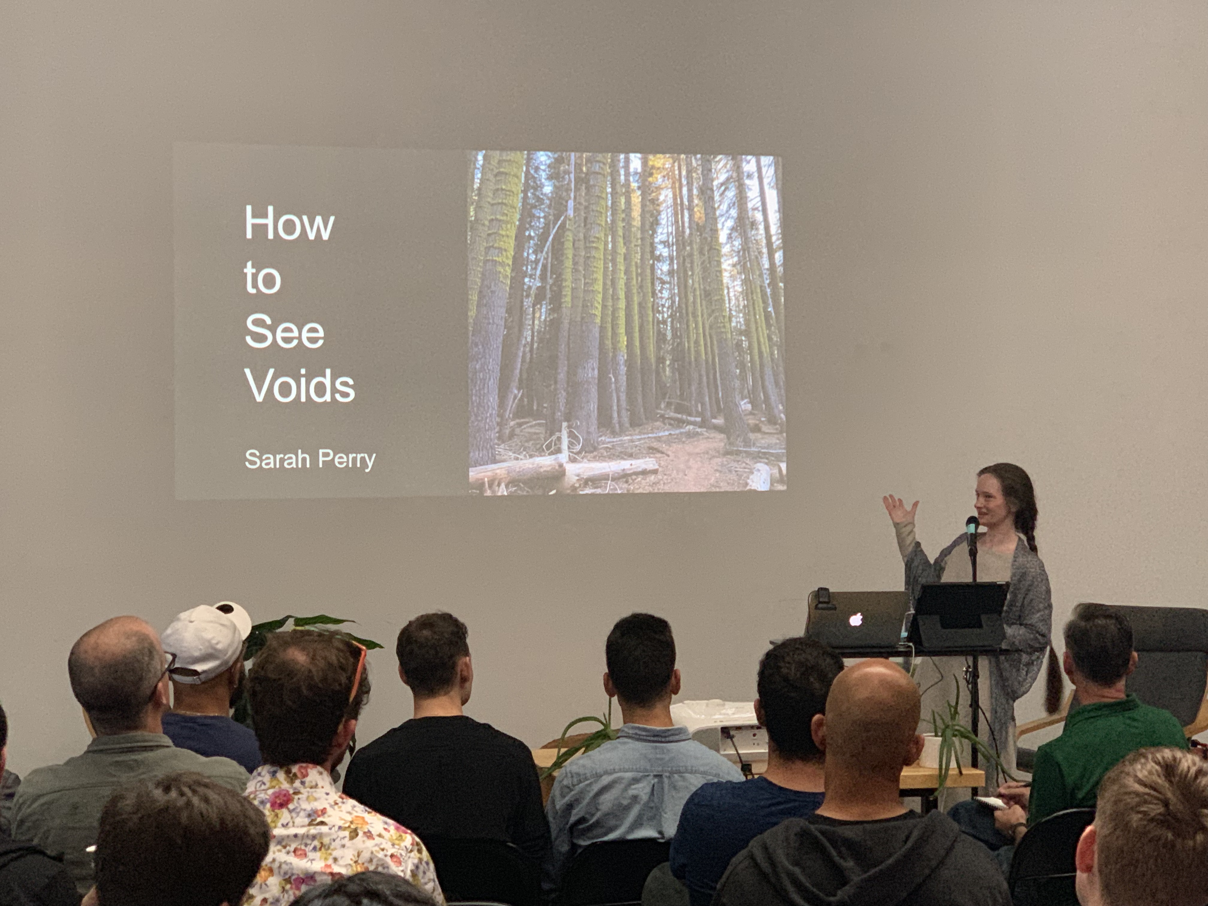 Refactor Camp 2019, Sarah Perry presenting How to See Voids